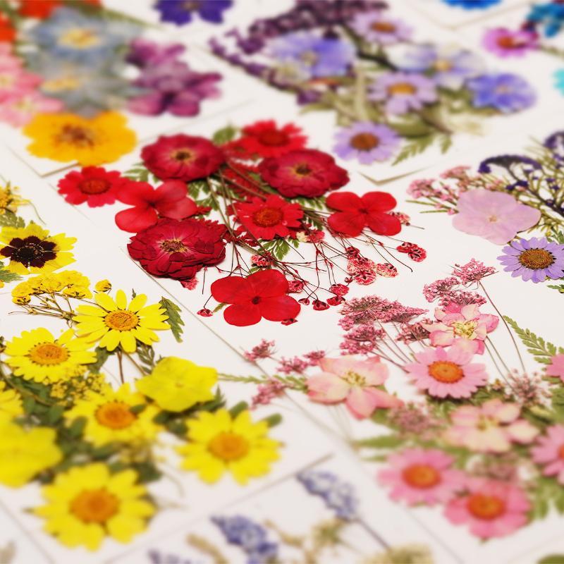 The Art And Craft Of Jewelry - Flores de Plantas Secas Prensadas Naturales