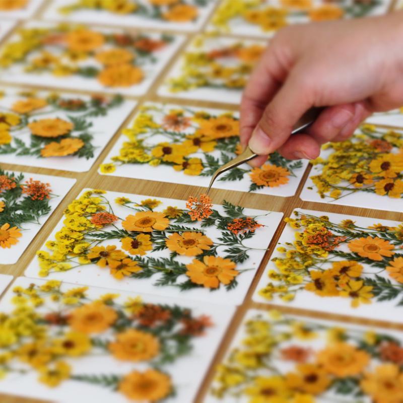 Flores de Plantas Secas Prensa - The Art And Craft Of Jewelry reseña y precio