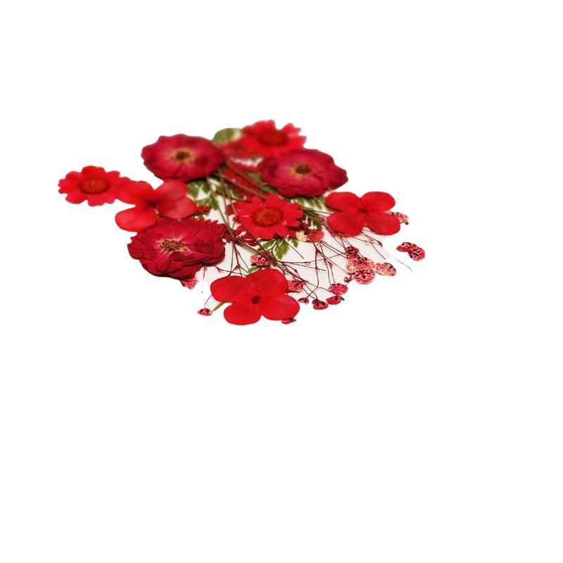 Flores de Plantas Secas Prensa - The Art And Craft Of Jewelry reseña y precio