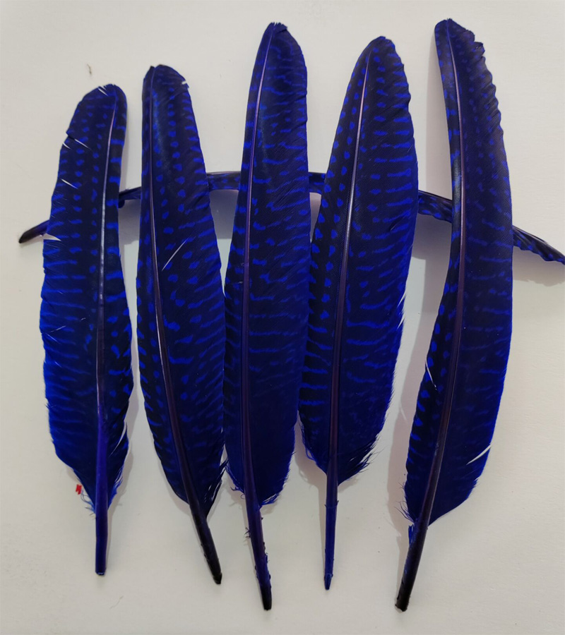 ¡Plumas! 100 Piezas/Lote! Plum - Art Quilling Craft reseña y precio