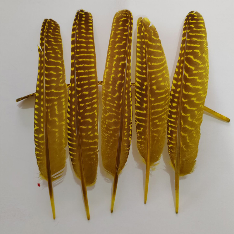 ¡Plumas! 100 Piezas/Lote! Plum - Art Quilling Craft reseña y precio