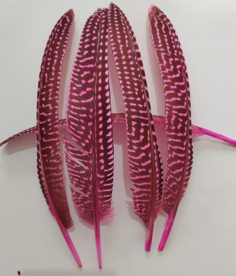 ¡Plumas! 100 Piezas/Lote! Plum - Art Quilling Craft reseña y precio